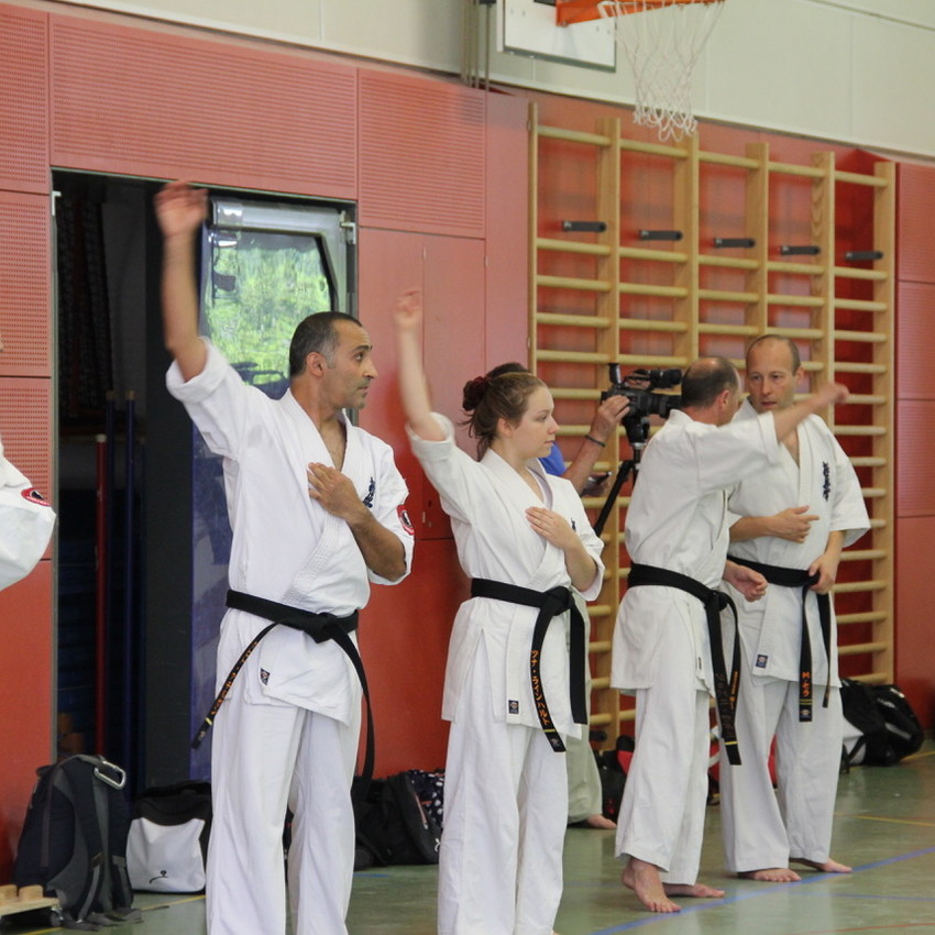 1500321025952-img_8222-f570d9c4374ae09cd716c5489c631b94