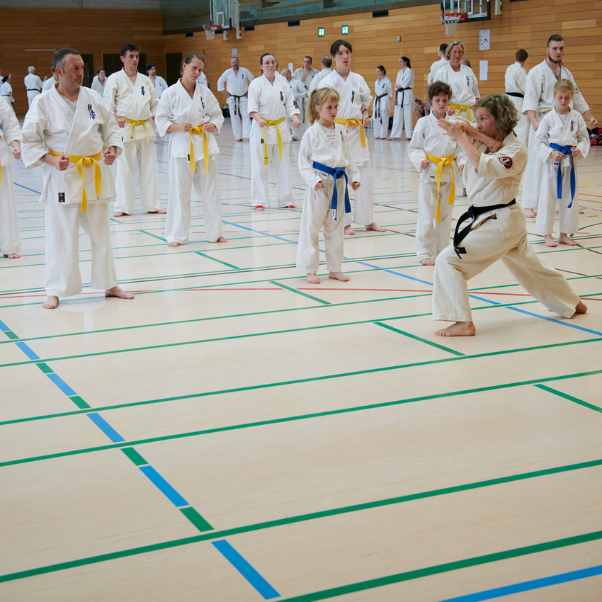 2024-karatecampnuernberg-326-5395a237043443782d8099dab657ddcc
