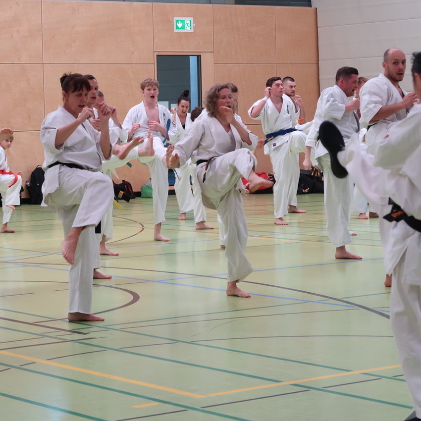 img_0002-99f25db6792effbe4a6cad4e84307565