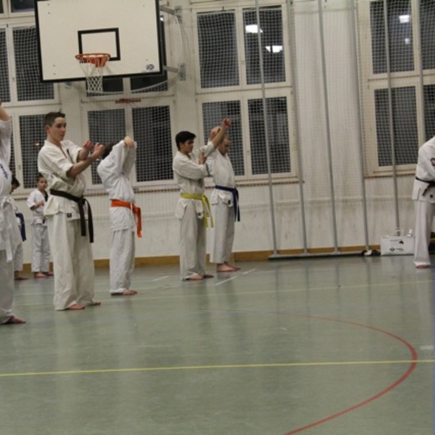 img_0846-4b23d7ed3326c916a61a151545edce25