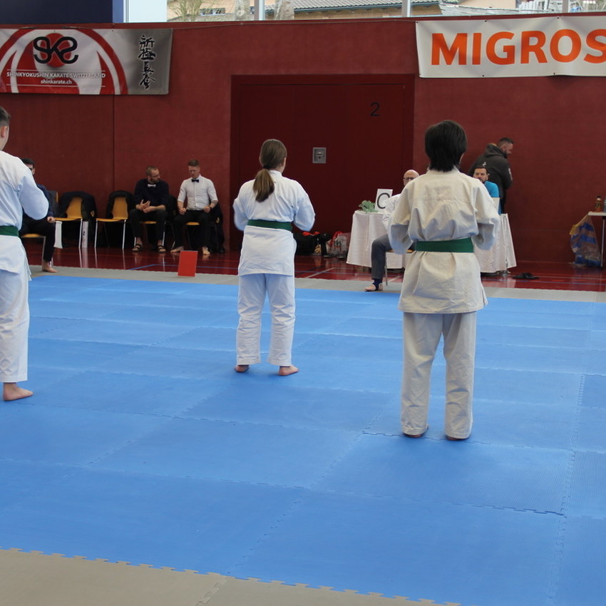 img_0963-86e77cc3cf8e5b6f494a1169ea8782d6
