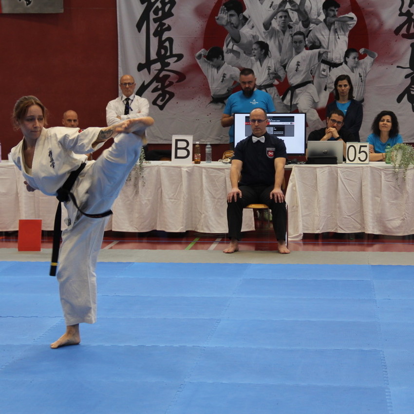 img_1313-7751d3da7b60158db59e91c699765609