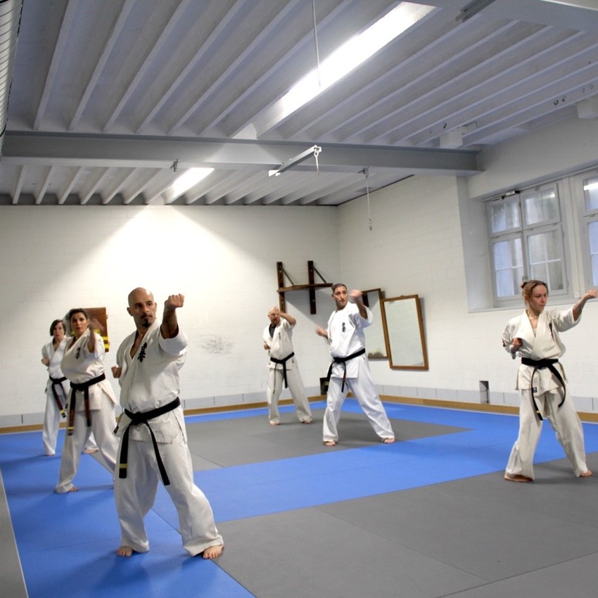 img_1557-72c2f9225ef49ad56b4f78b891e83ad1