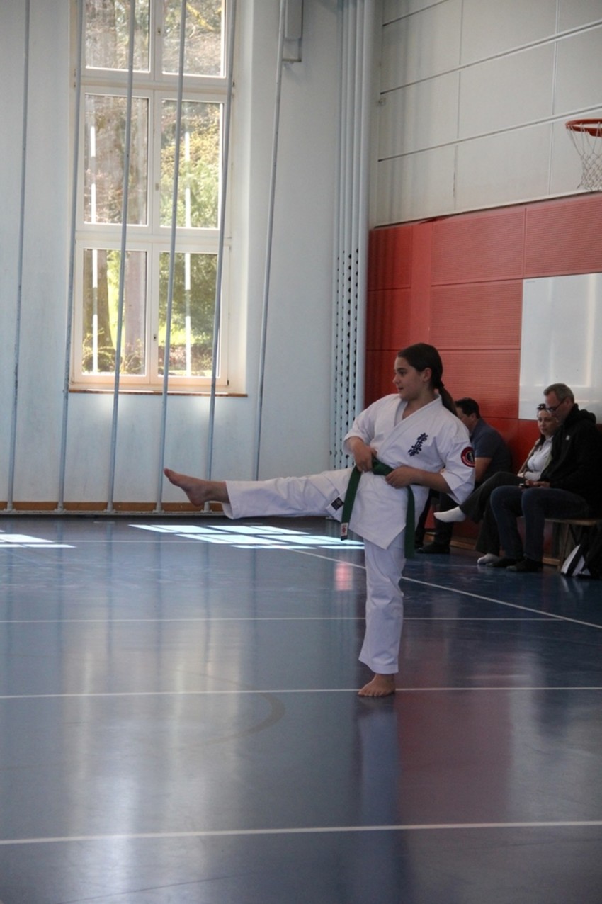 img_1675-6c5bb160de7e61f43c6a9d7204cae5c5