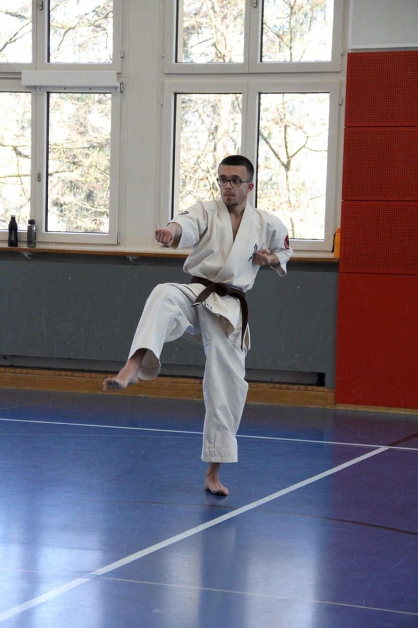 img_1774-230756315341a41b0599cb579f5b1fcc