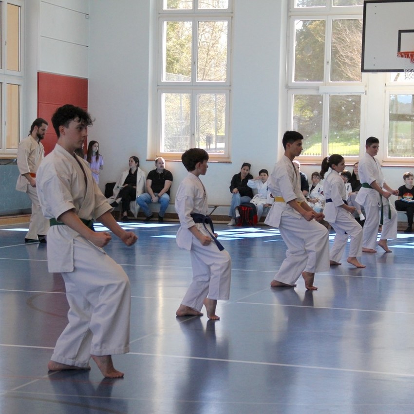 img_1779-401aef8f6bd9eb8bd2e33cb938c74f19