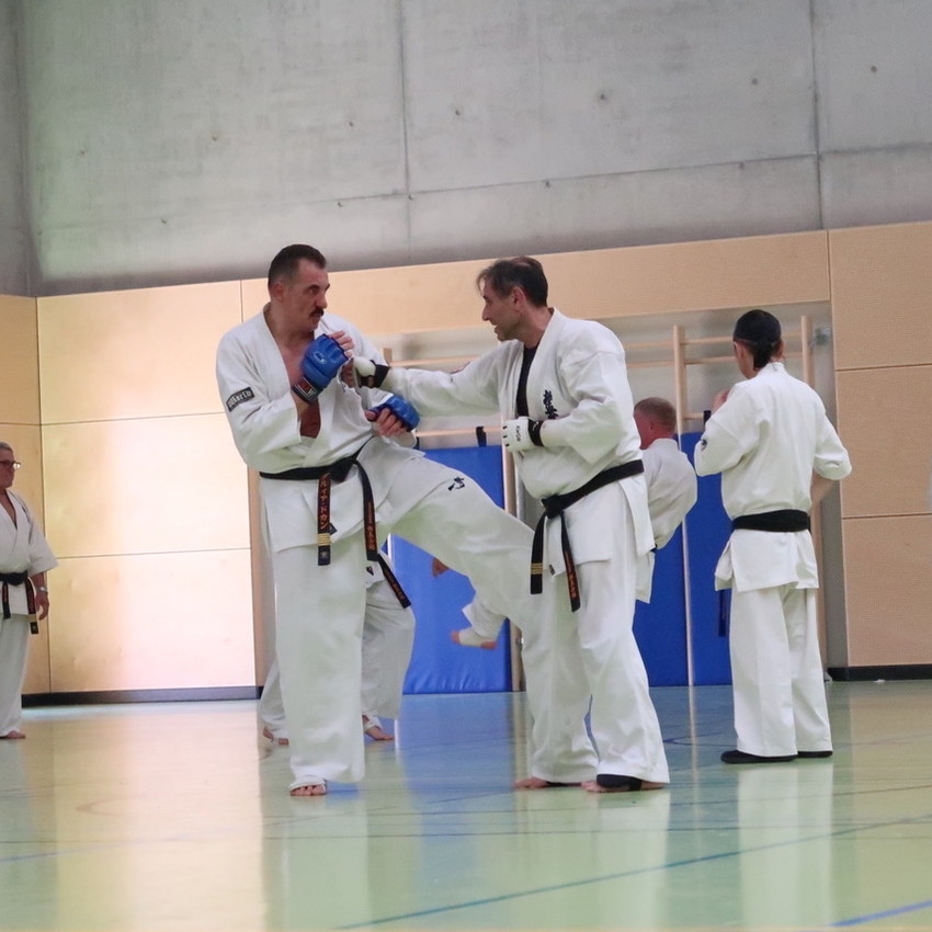 img_1918-493c0916c447e36849934ee760896ab3