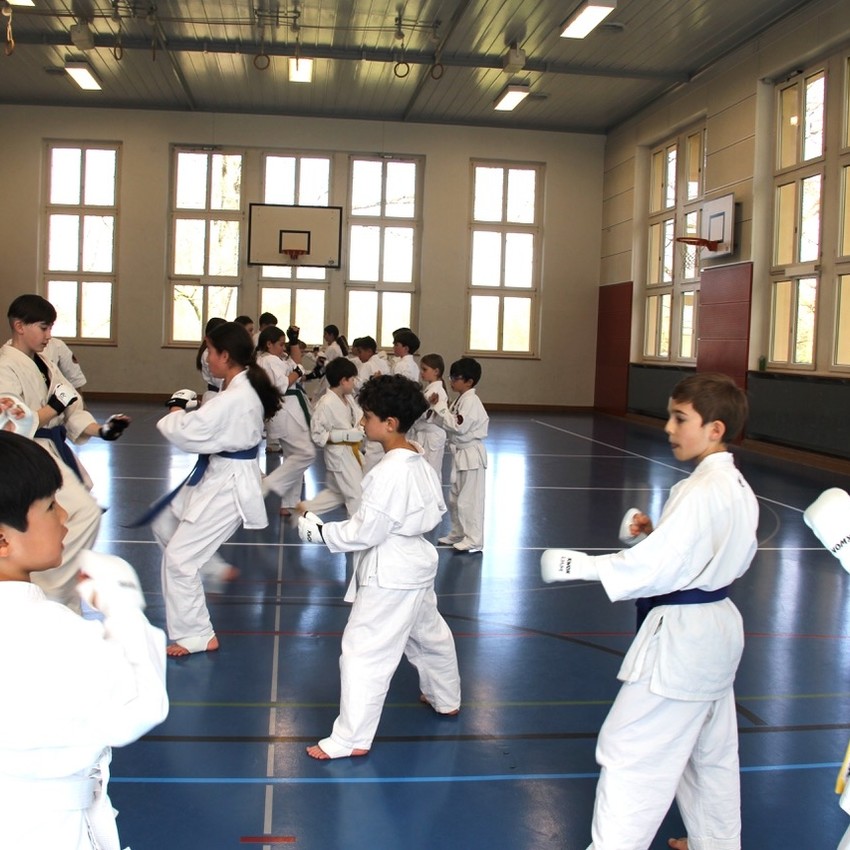 img_1940-dbaf84928e905c02815a9a6c7f6923dd