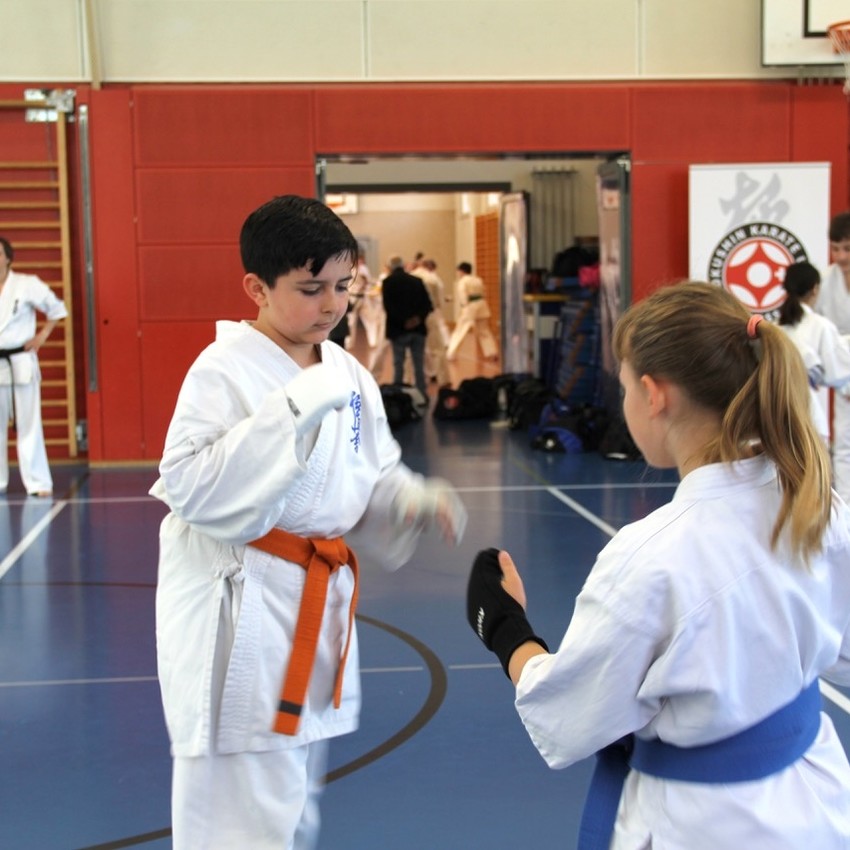 img_1953-dbe81300c105cebe6f16e1237970406d