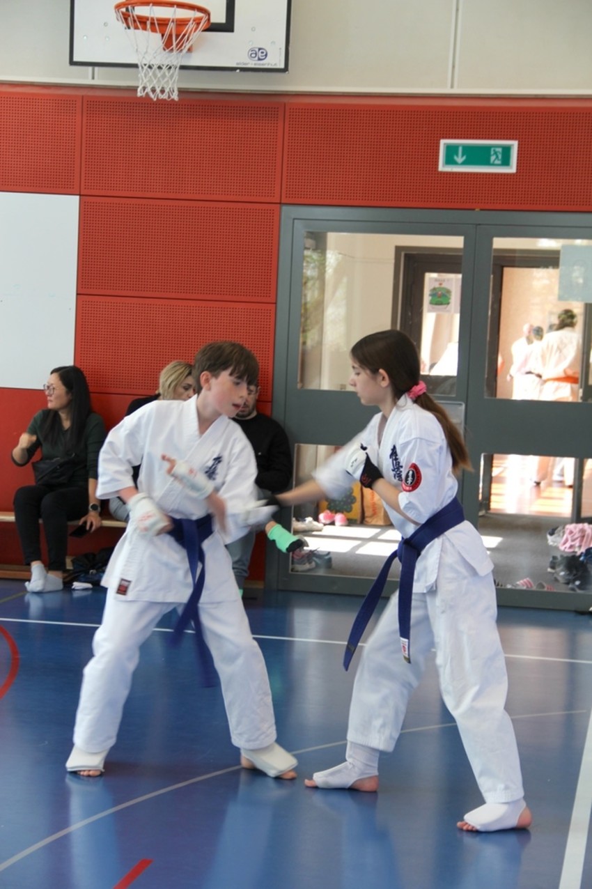 img_1956-8667c4408b71d1f5449946f863a787ce