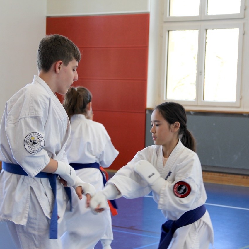 img_1958-923a3f1e791932c8e2d4e1376b859ba5