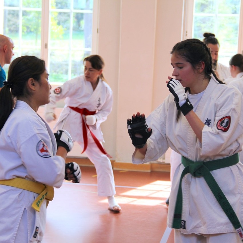 img_2013-ec9152da6d8f13146b7bf5dc97496c15