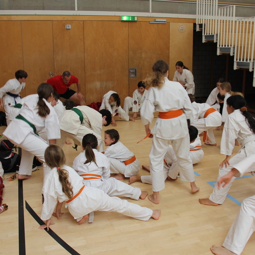 img_2304-8ce0922e9b3bb8795b48471b8d98f2b1