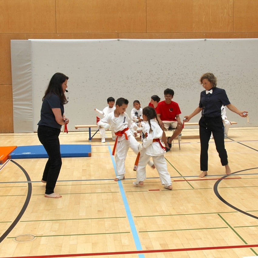 img_2337-7d59779865a5257b1daceba089881c39