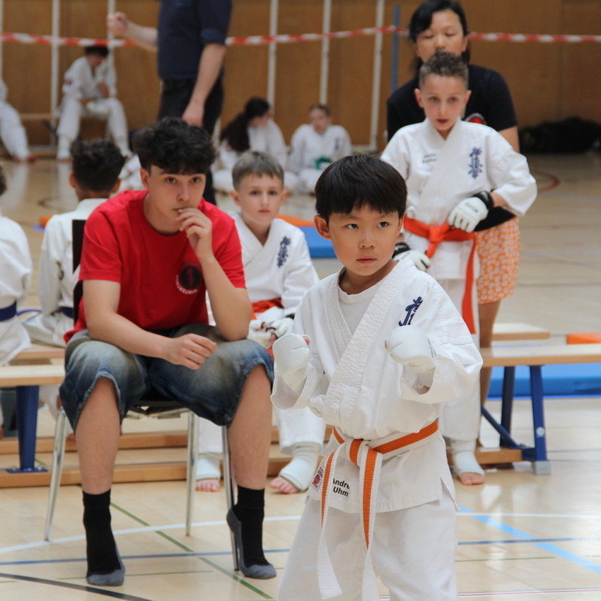 img_2339-e477b4111a11f8de5c947fa5727437e8