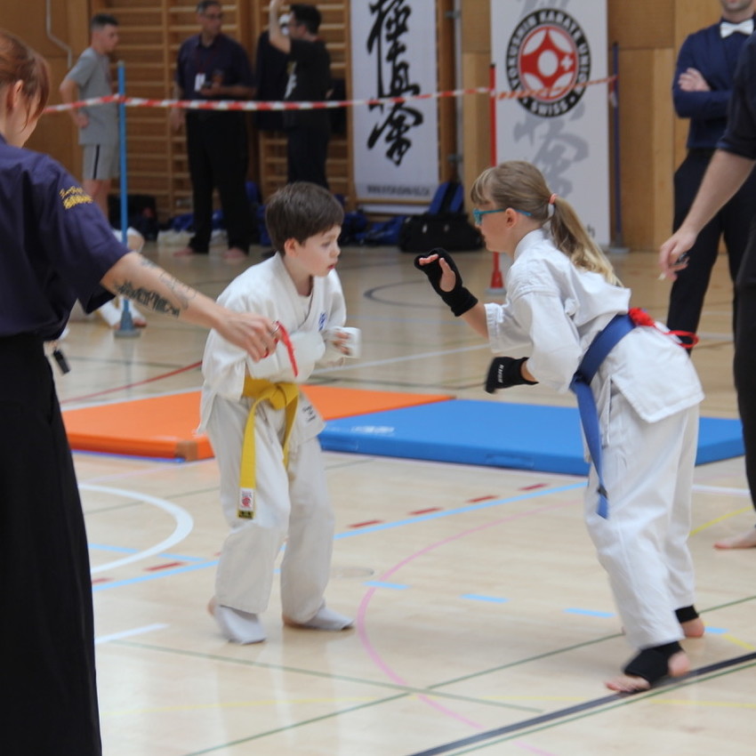 img_2340-ee65260981911e3ec0632c1e9fa55c79
