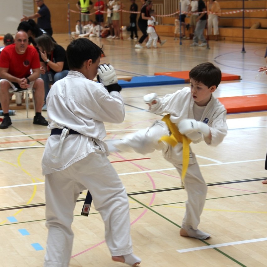 img_2356-11f9a4599c19a7953a086e85f3740fa7