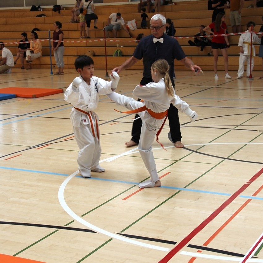 img_2359-eceda6cdcafa270dc3c86571fd8e3613