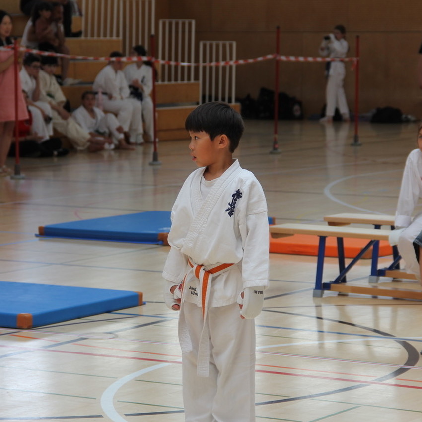 img_2364-2cf94c0aa812dd222fa09a0d79a1df4a