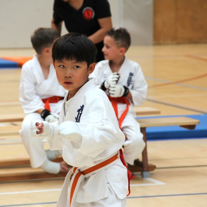 img_2371-b04bbc5449df623f2a3cdd56e3192276