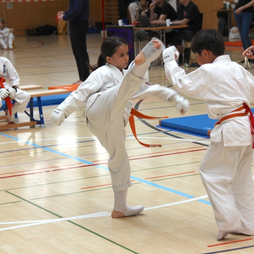 img_2376-9268b5afda2bdc94c38b5cb892de4eea