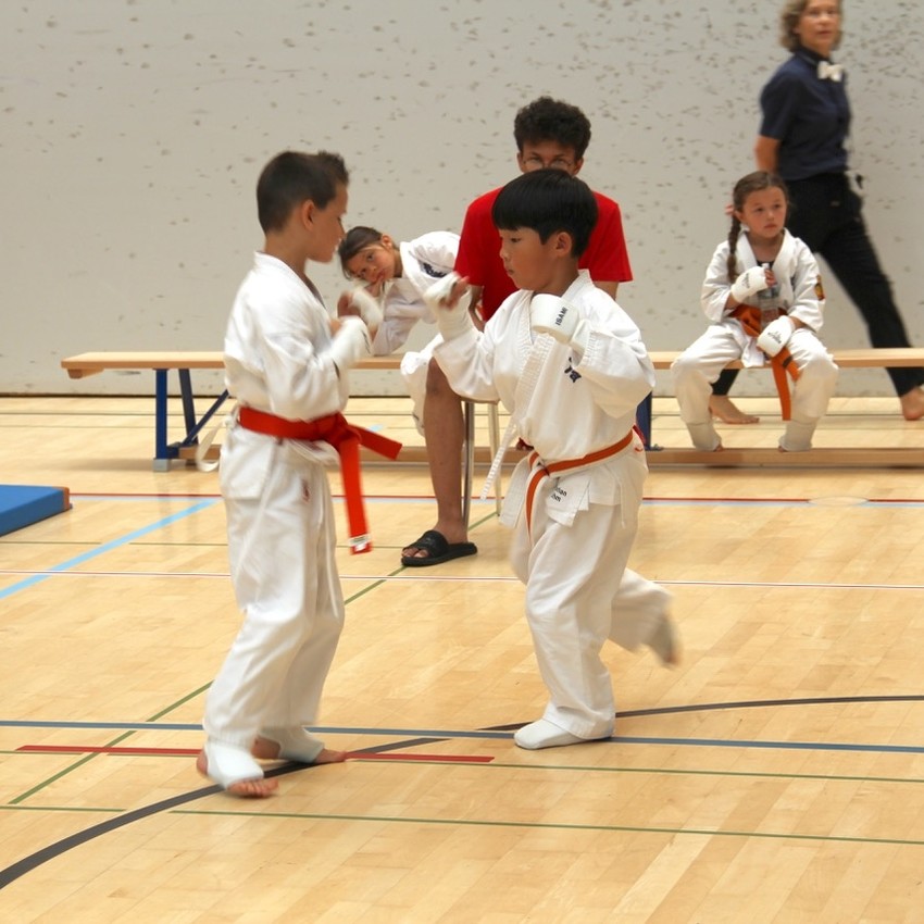 img_2378-c2100c08218a89222d3cbdd44d7274d7