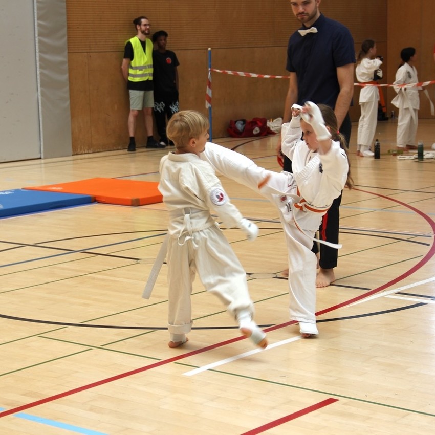 img_2380-9f459a4403951fe57bc4373809592ae9