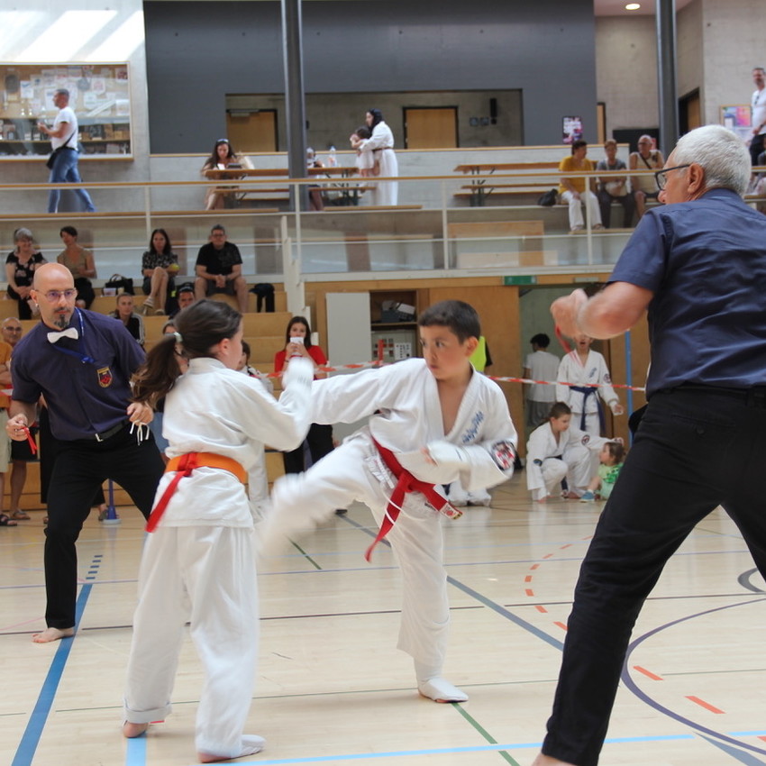 img_2397-3b3f1d5afe61ab4ecc38ad9cf1325326