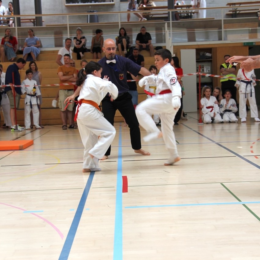 img_2398-d58936c0100e29eff104d1aa3abfefe9