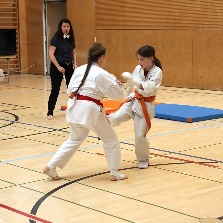 img_2421-07355511fce8e50e0e8acd396933654e