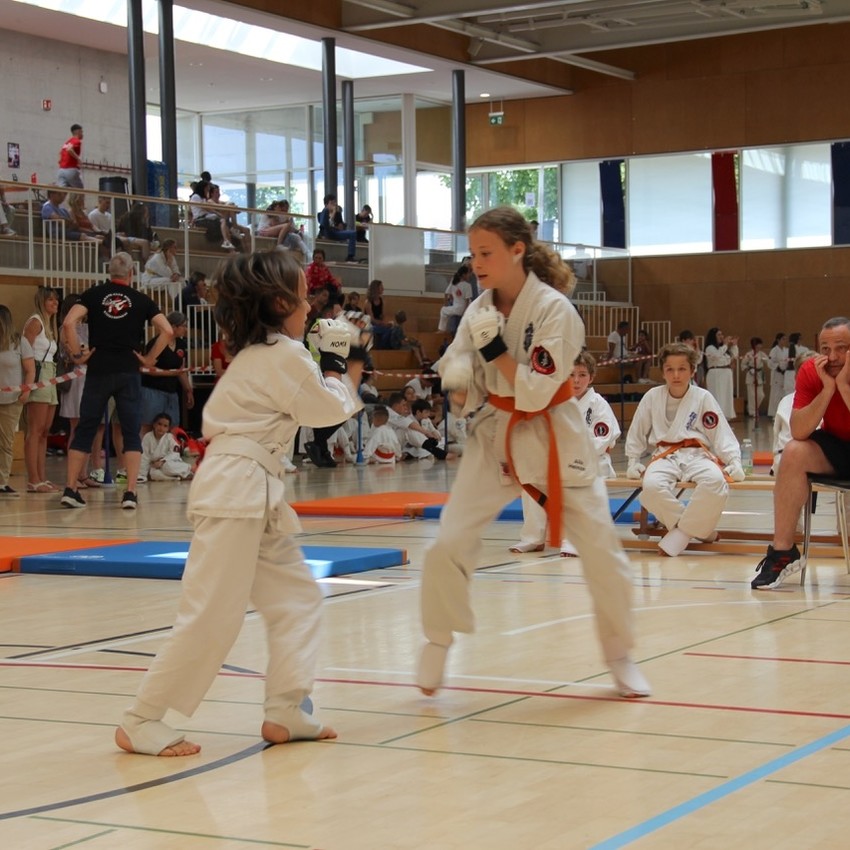 img_2427-4f5b3a6b8c75d7ae8f35ffb328265928