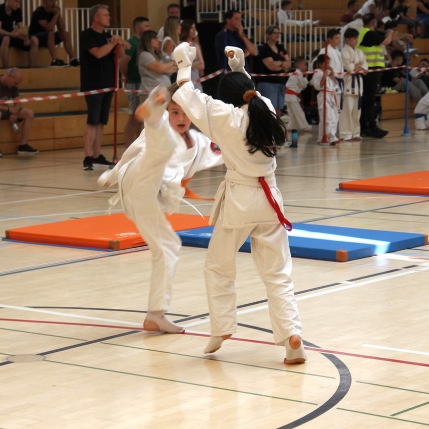 img_2431-a7c41283a5a09e30ddddc5b9720633b8