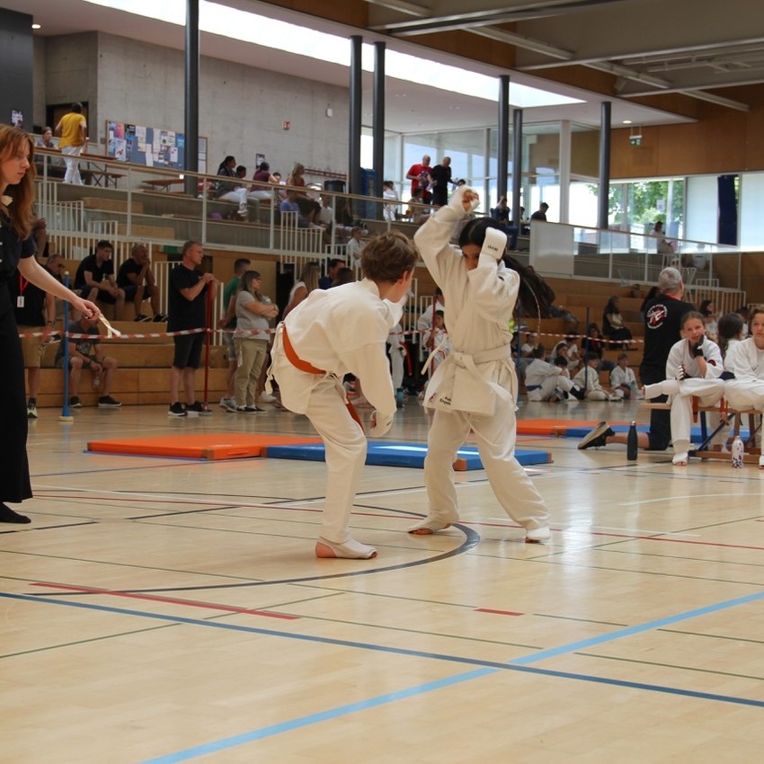 img_2432-1456b02812fb7e104f29264b5ef47823