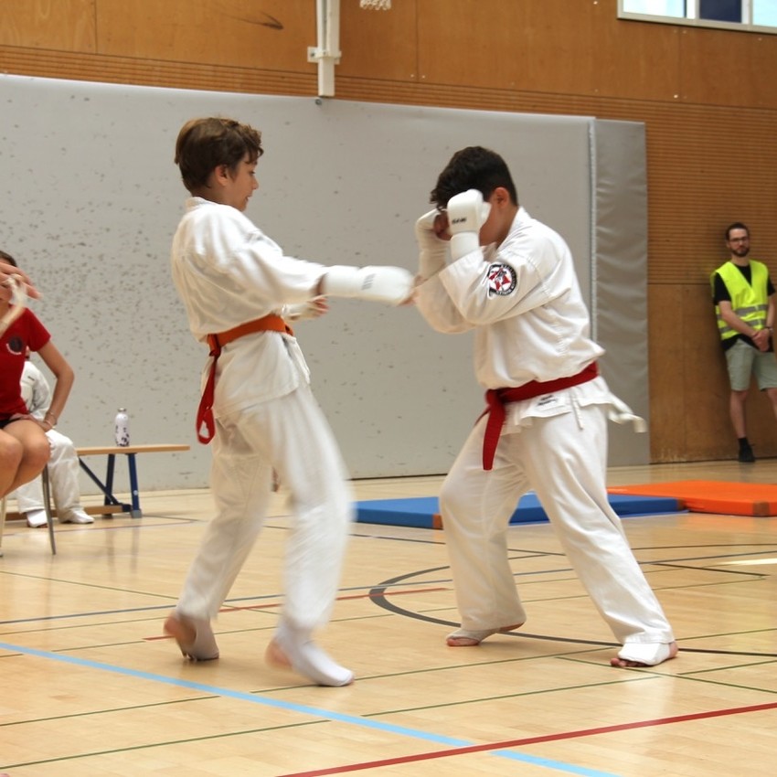 img_2435-fcae8ed1438a064946f7fa3a25291524