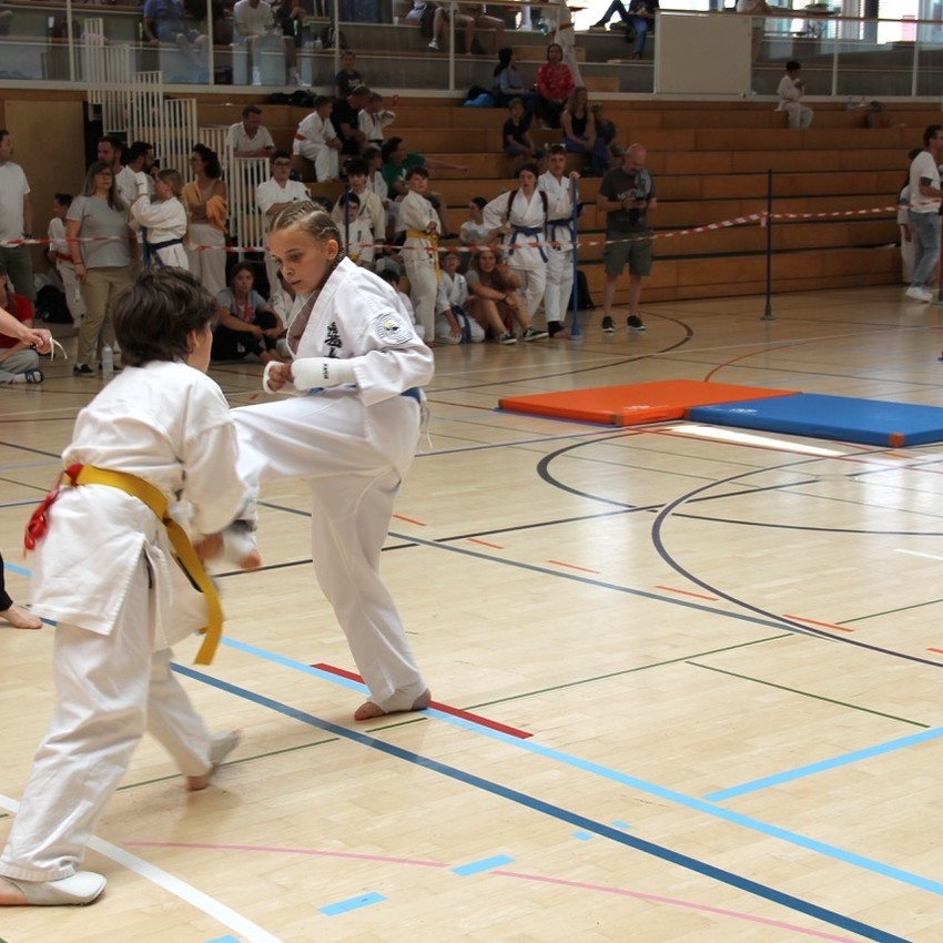 img_2445-23695dd2d0e227421428be463e119e86