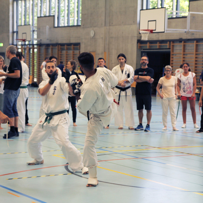 img_2463-3ae3f8462d0d411dd557ef6a26b9cd9e