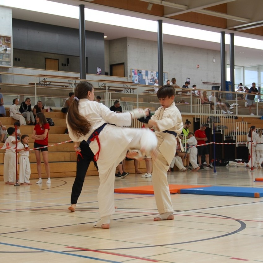 img_2487-a01c6dbd676839adef42b1d2024d02cf
