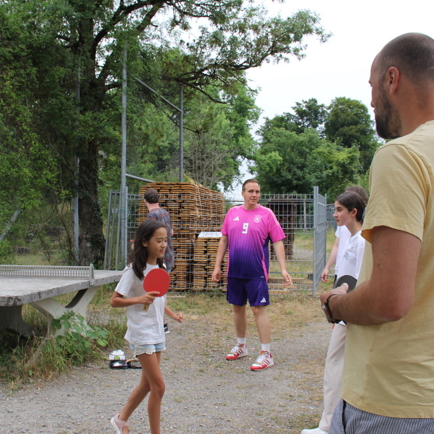 img_2529-6cad193f8d2075592d0a74a51c8022aa
