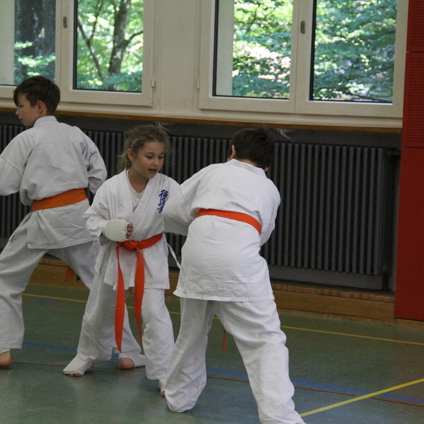 img_2645-ea82f201e48c62d969f5c90efa345949