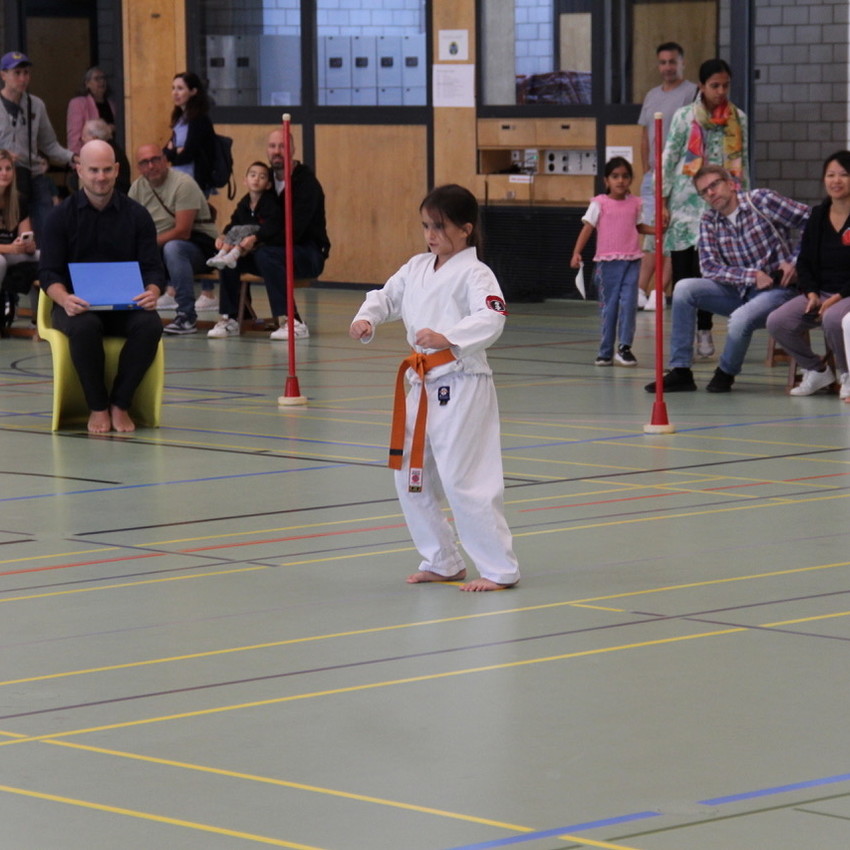 img_3106-8c69e957fe361848b1f7f7e9c4ae4580