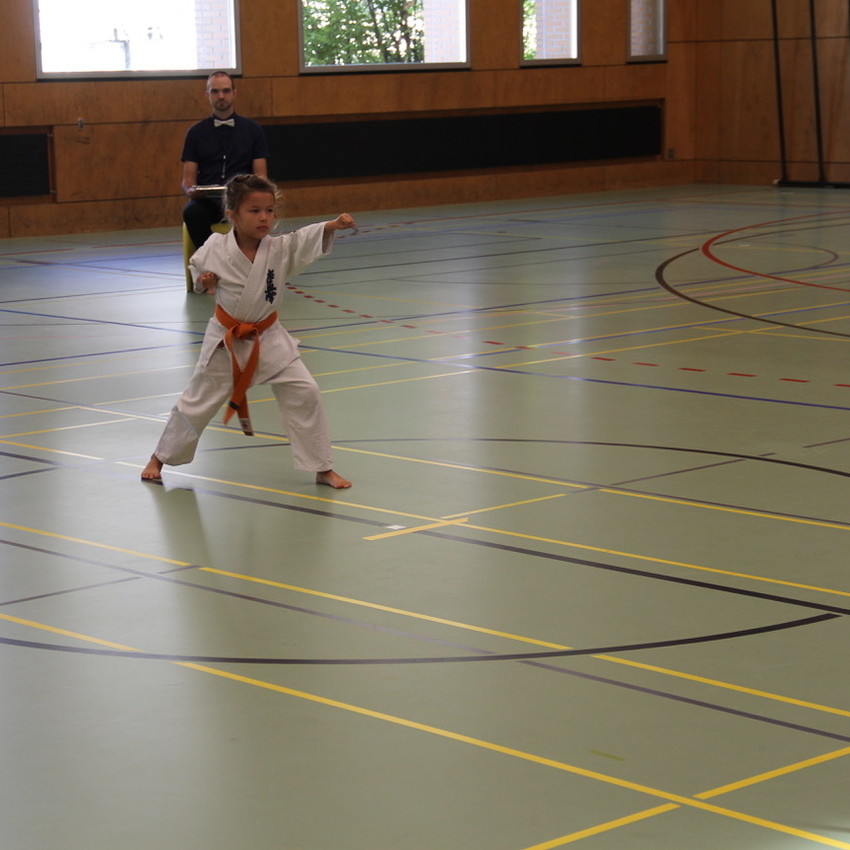 img_3115-4fc67980840713385d9e3da8796e3dfb