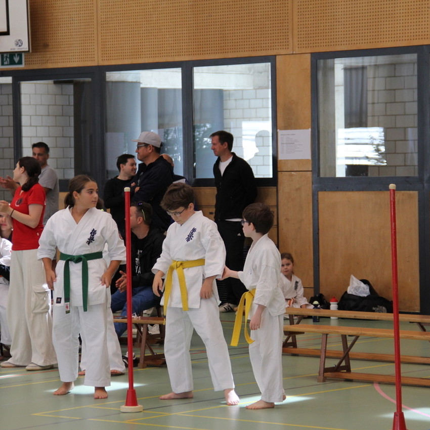 img_3222-6ee4f810f3585a90d56df266fc31b714