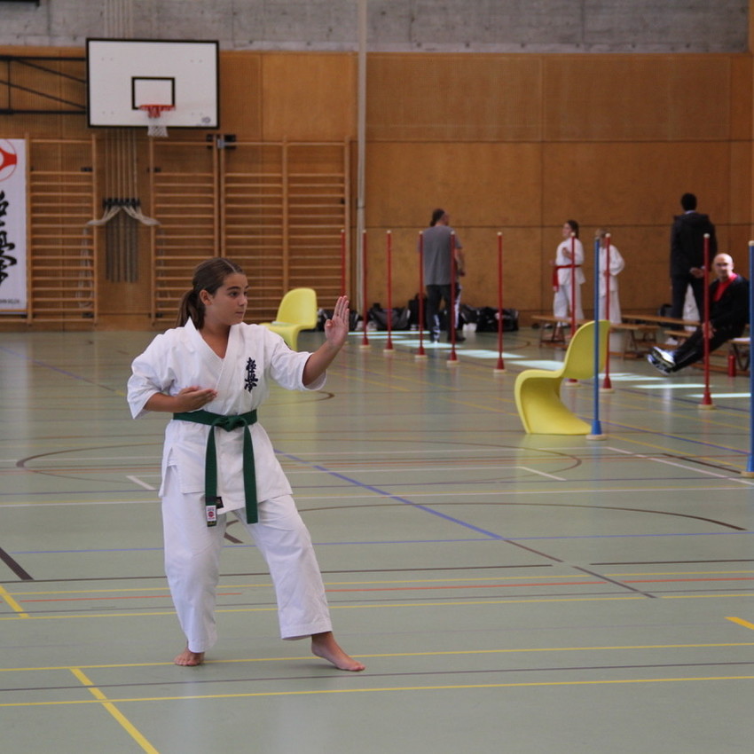 img_3227-672fd0164e30998b843ff6114553d131