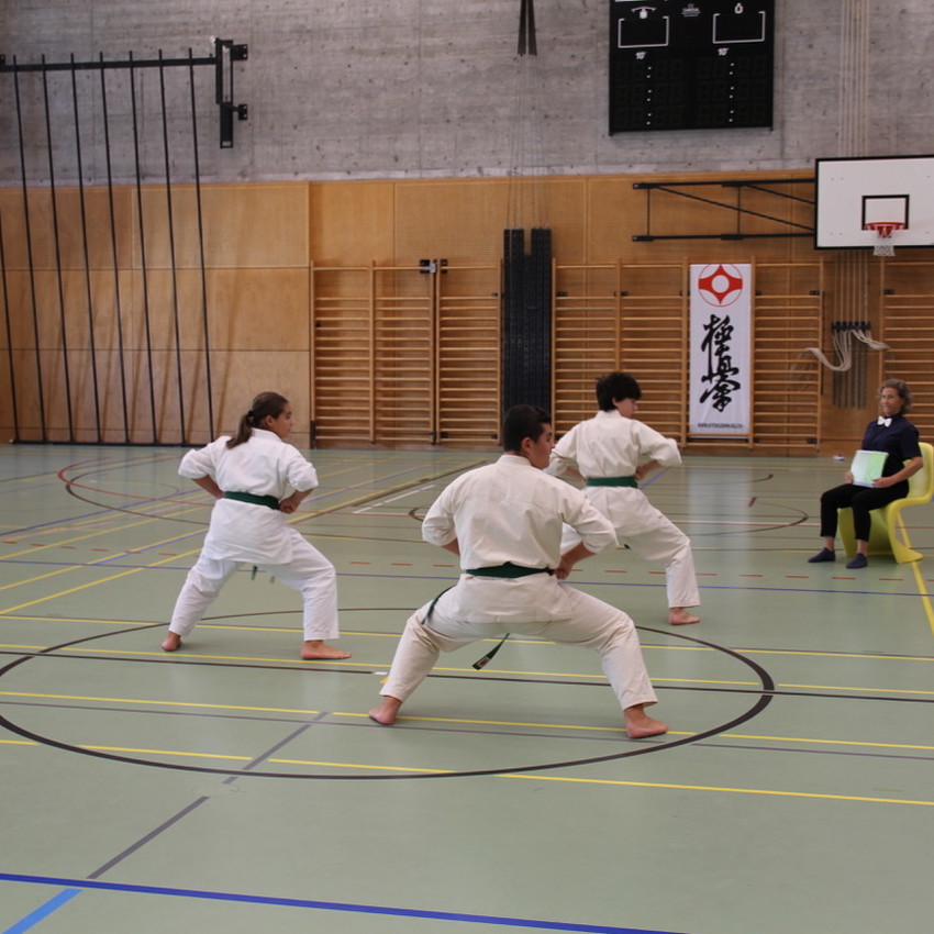 img_3312-8bc0e662e3bc8fba12e9781f2cbe0a94