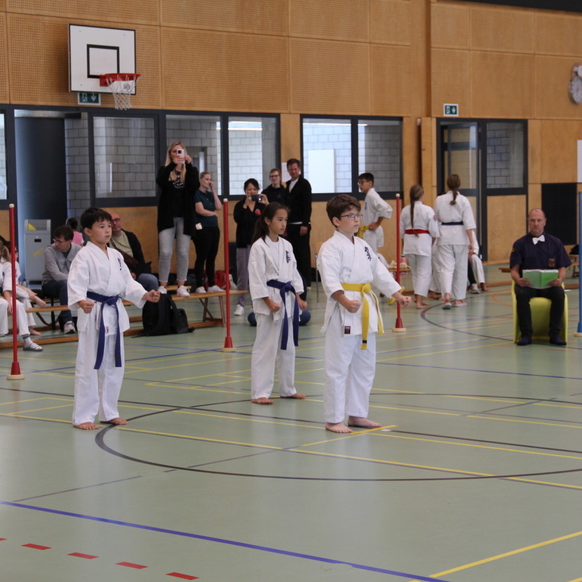 img_3317-2ead3c5f8a034d2e3637b08016f6b342