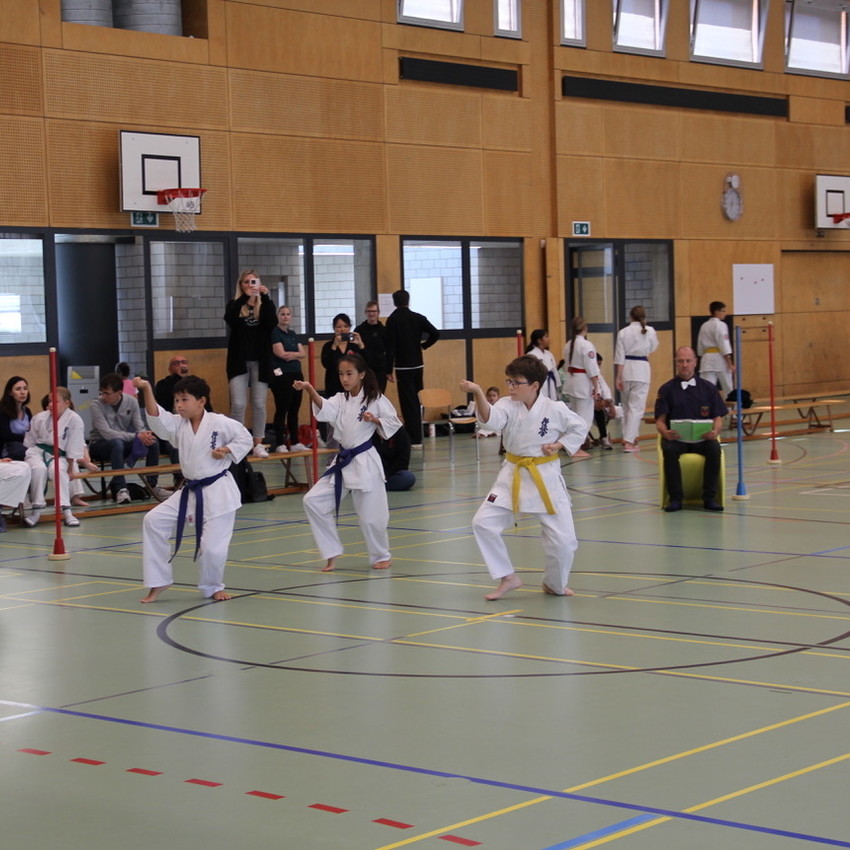 img_3319-cceb09ed7b18cf0af613c59319cfbe2e