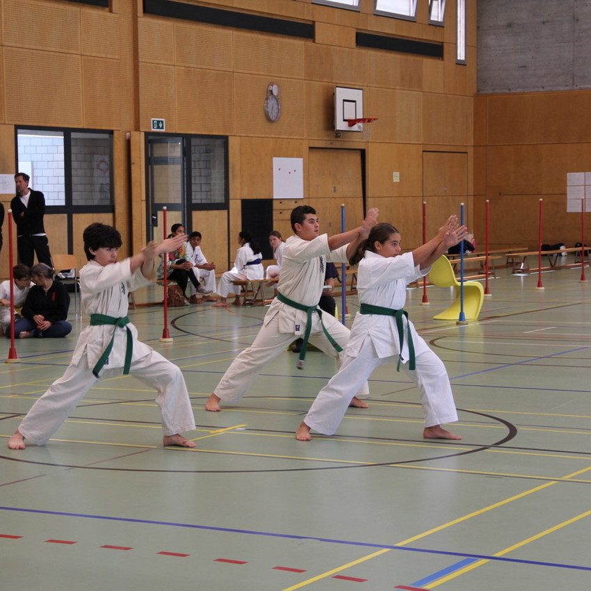 img_3333-07bedb4b727b5a6bfa4ed0f8bf2ffc5e