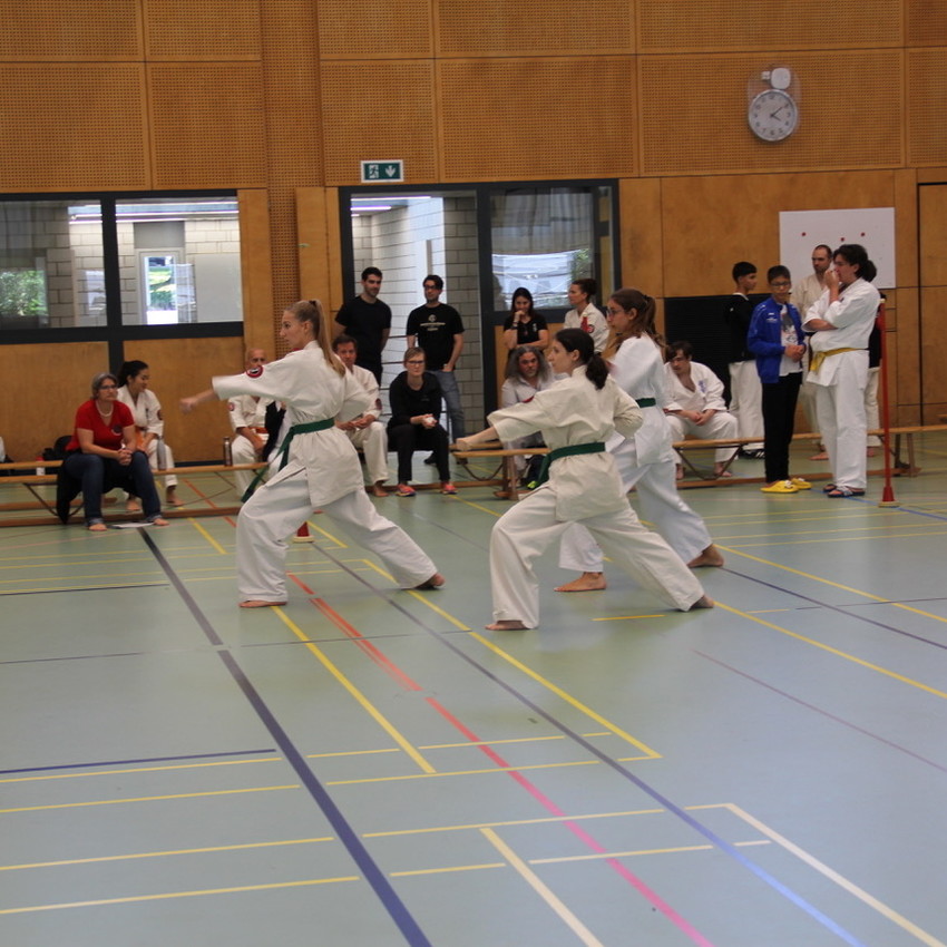 img_3562-9b289385666e45b1b1dc19707d1737bc