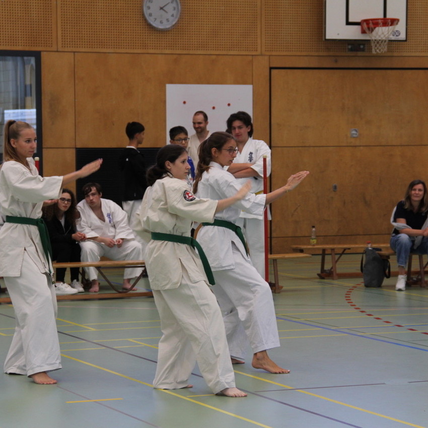 img_3565-07b4a54ad4213d9873f23881a1407810
