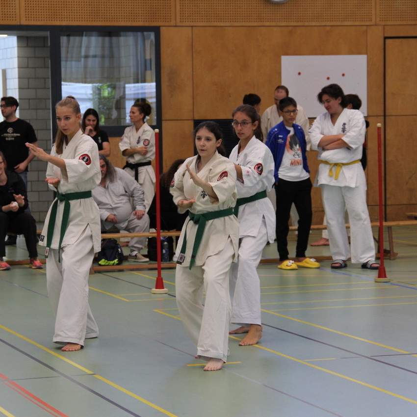 img_3566-fa4371a0f1a7fc5b342cba0d12d50239